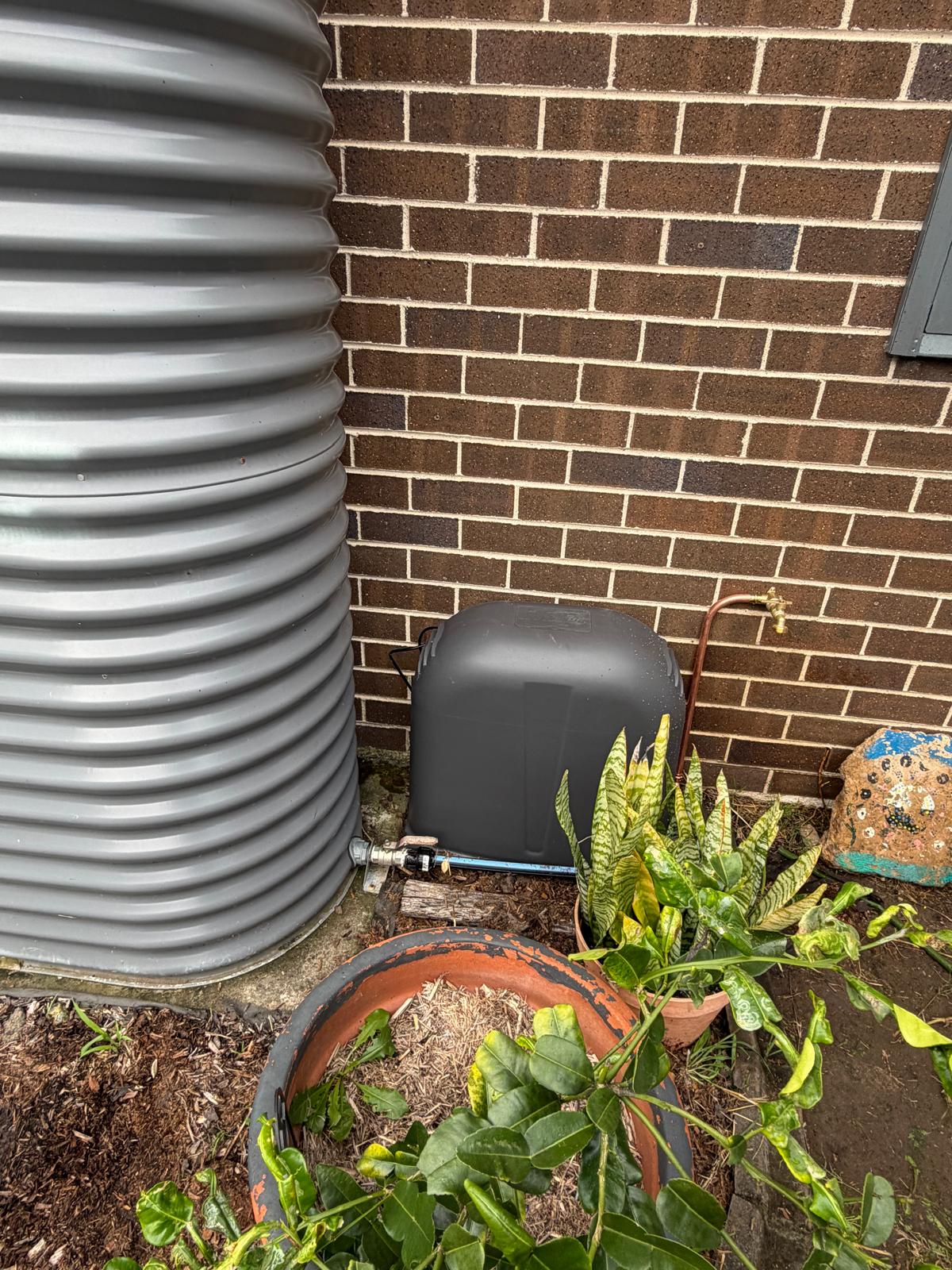 Rainwater tank pump — covered & connected — plumbing work completed in Shell Cove by Shellharbour Plumbing (licensed Illawarra plumber)
