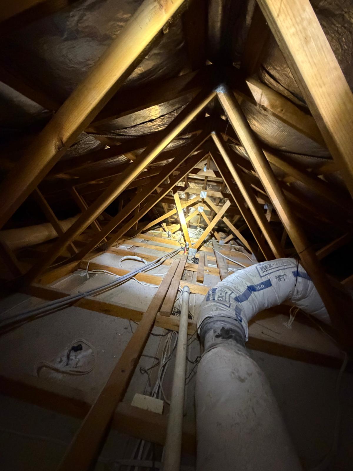 Roof cavity vent pipe — DWV penetration — General Plumbing plumbing job in Albion Park by a licensed Shellharbour plumber