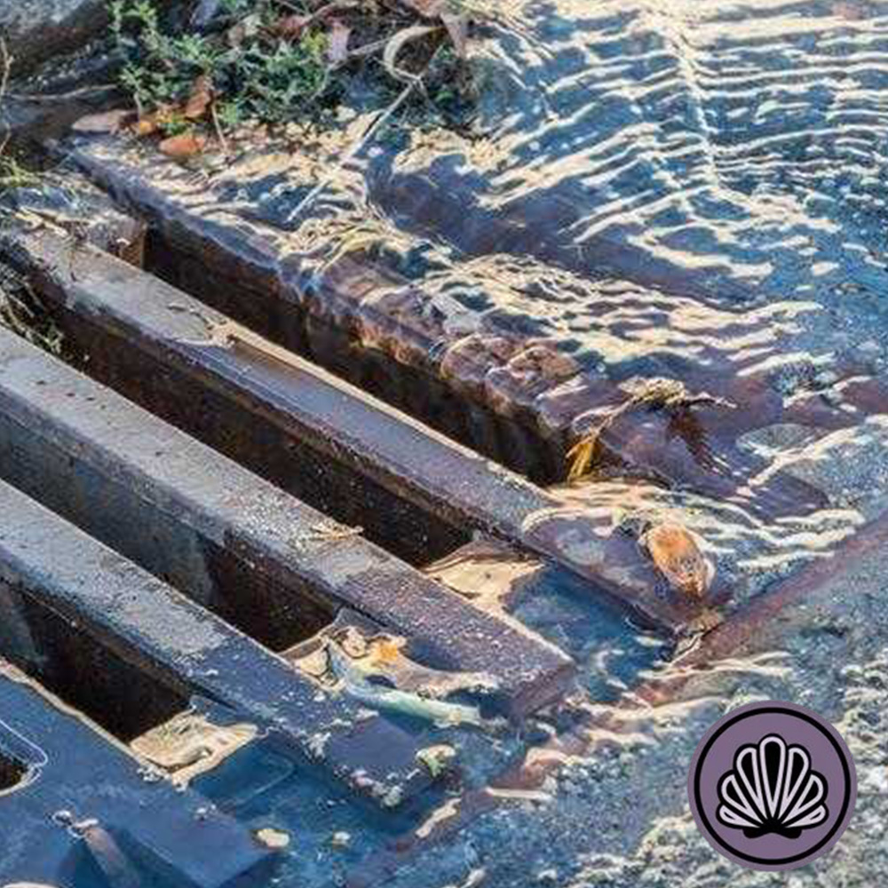Blocked Stormwater Drains